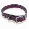 Special cartoon patterns pet collars made from TPU coated Nylon straps