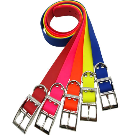 dog collar for sporting dogs