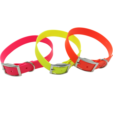pet collar with different colors