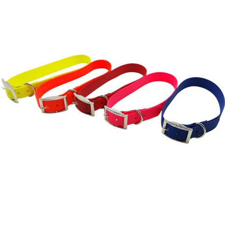collars with many colors