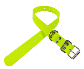 Neon yellow hunting dog collar PVC in wild
