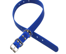 Blue hunter training collar made from plastic coated webbings