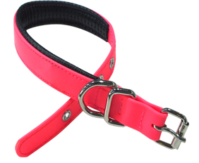 Good discount on dog collars and leashes PVC