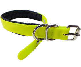 Personalized dog collar made from PVC coated webbing with soft padding