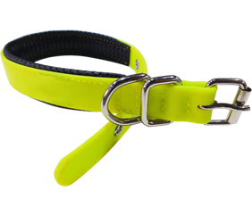 Personalized dog collar made from PVC coated webbing with soft padding