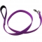 Abrasion resistant durable purple puppy leash supplies in PVC