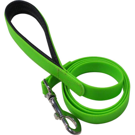 pet dog walking leash