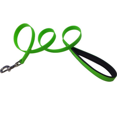 green dog lead