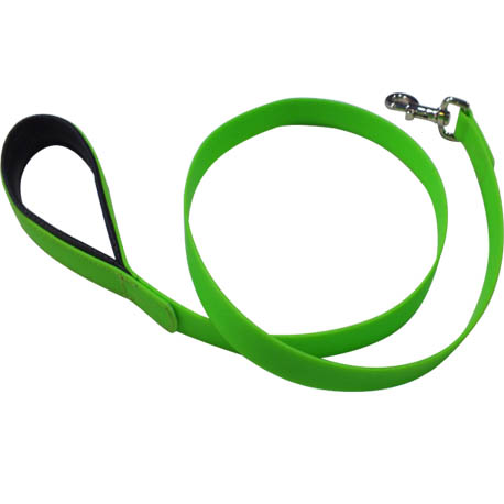 green dog leash