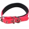 Good discount on dog collars and leashes PVC
