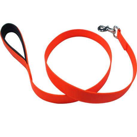 red dog leash