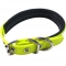 Personalized dog collar made from PVC coated webbing with soft padding