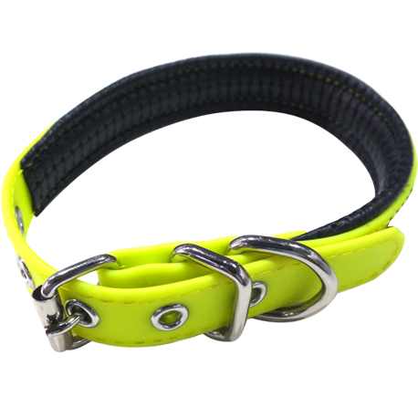 yellow dog collar
