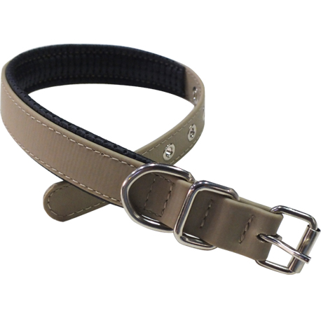 gray dog collar