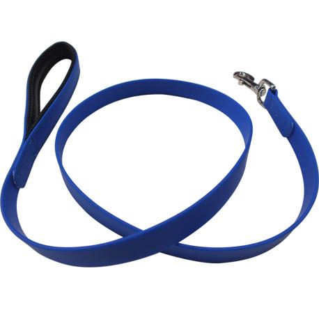 blue dog leash for walking dogs