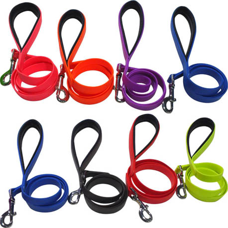 multi-color dog leash