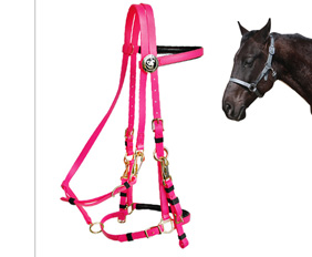 Pink endurance racing bridle halter PVC with brass buckles