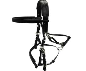 Black PVC halter bridle bits hangers steel stainless buckle