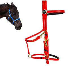 Red PVC traditional bridle halter design with soft padding