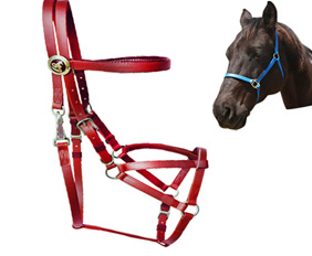 Trail riding bridle halter equipment red in PVC