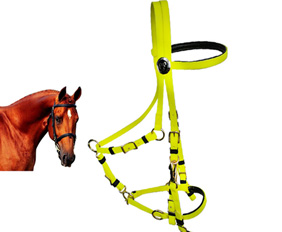 Neon yellow endurance bridle and halter combination PVC