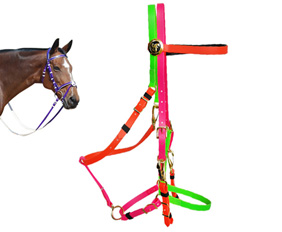 Color mixed soft padding on head halter bridle combination in PVC