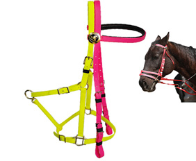 Yellow pink mixed PVC endurance bridle halter for horse riding trail