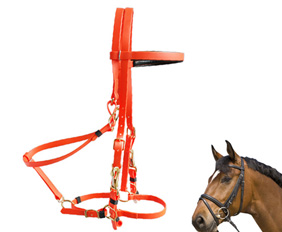 Marathon padded halter bridle combo with brass buckles