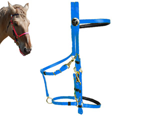 Sky blue horse show halter bridle combo with brass hardware