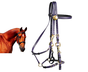 Equestrian products saddlery items bridle halter combination PVC
