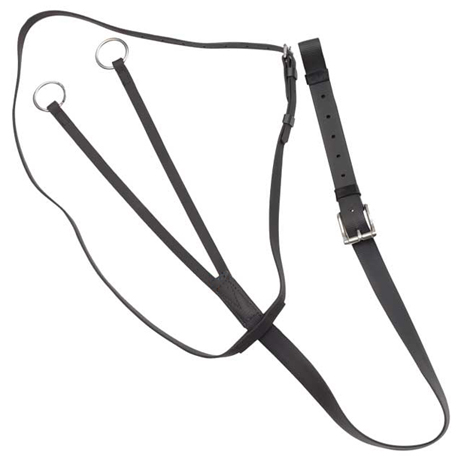 running martingale