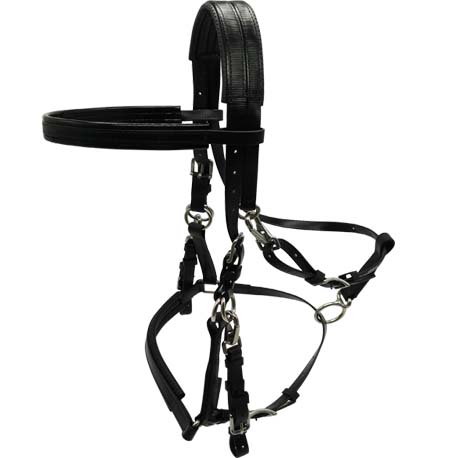 Black PVC halter bridle