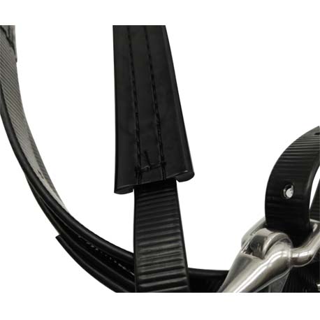 black halter bridle