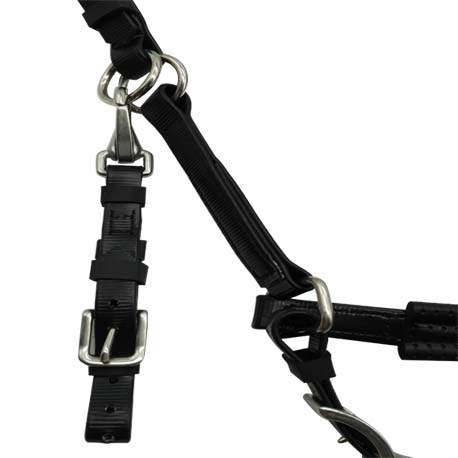 halter bridle