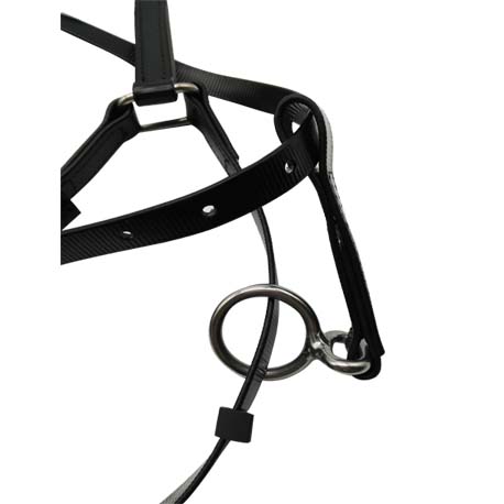 PVC halter bridle