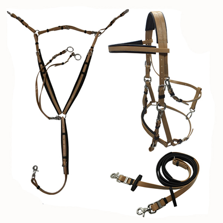 endurance bridle