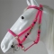 Cold resistant horse tack trail endurance bridle halter combination