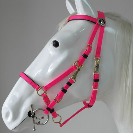 endurance bridle halter combination