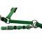 Endurance bridle halter