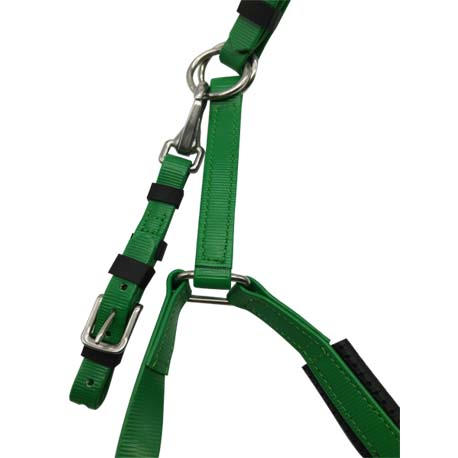 green bridle