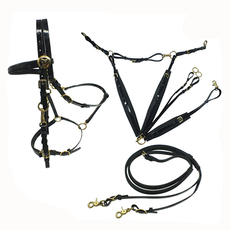 endurance bridle halter