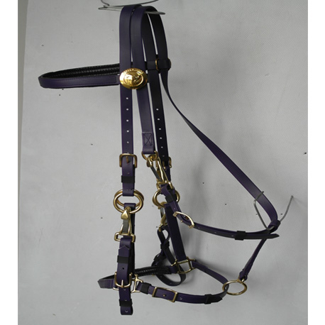 endurance bridle full set