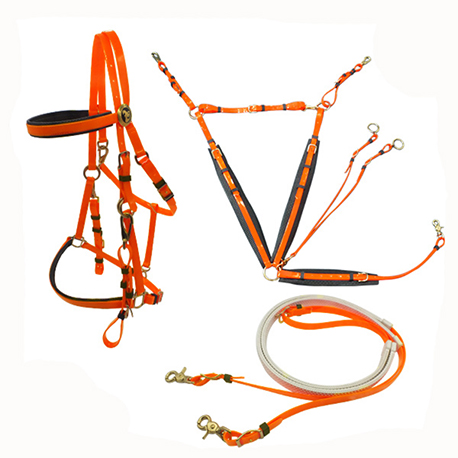 endurance bridle/halter