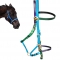 Horse size any 2 color halter bridle made from PVC coated nylon webbing