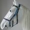 Horse size any 2 color halter bridle made from PVC coated nylon webbing