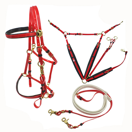 endurance bridle