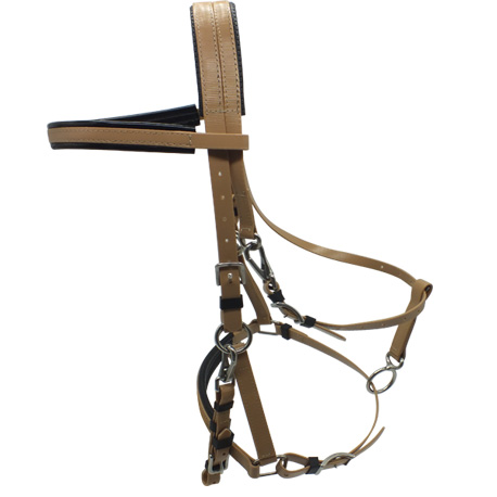 endurance horse bridle