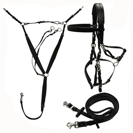 trail bridles