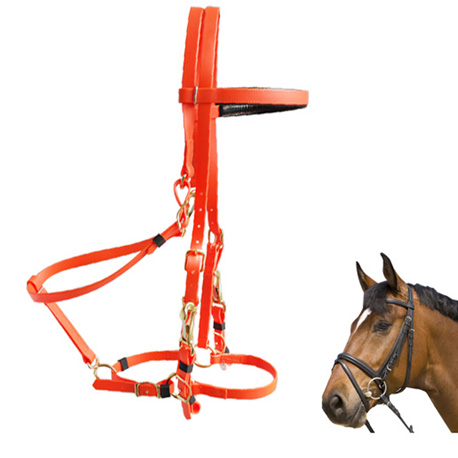 halter bridle