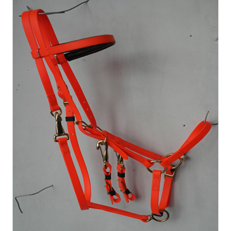 orange halter bridle